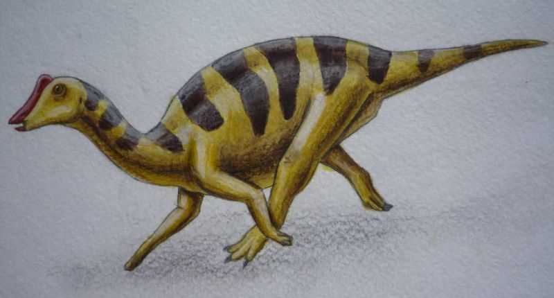 Ниппонозавр (Nipponosaurus)