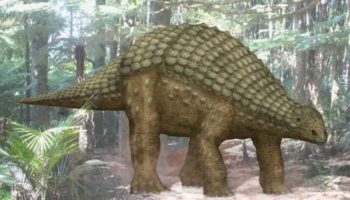 Нодозавр (Nodosaurus): описание, особенности