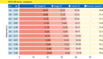 Описание и характеристики бройлерной породы кур росс 308, таблица веса по дням