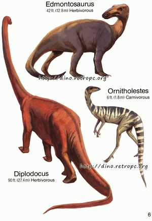 Отличия между орнитолестом и другими видами динозавров
