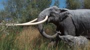 Палеолоксодоны — вымершие слоны древности