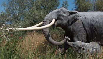 Палеолоксодоны — вымершие слоны древности