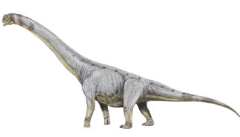 Паралититан — гигант динозавров