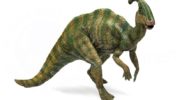 Паразауролофы — загадочные динозавры со своеобразными головными гребнями