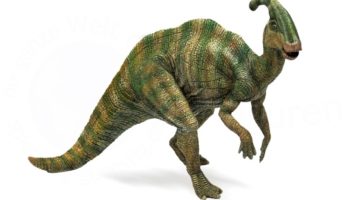 Паразауролофы — загадочные динозавры со своеобразными головными гребнями