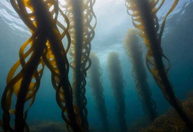 Угрозы для планктона: Загрязнение, изменение климата и другие факторы