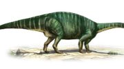 Платеозавр (Plateosaurus) — описание, особенности и история открытия