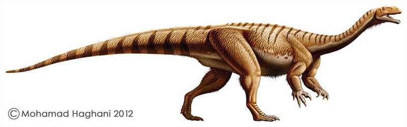 Крупнейшие виды платеозавров