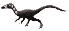 Прокомпсогнат (Procompsognathus) — описание, особенности и классификация