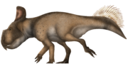 Протоцератопс (Protoceratops)