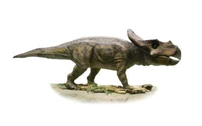 Сходства и различия с цератозавром