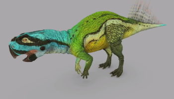 Пситтакозавры (Psittacosaurus) — удивительные динозавры с пернатыми хвостами