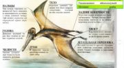 Птеродактиль (Pterodactylus) — описание, особенности и история исчезновения