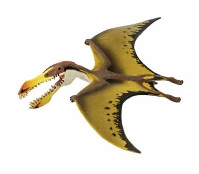Исчезновение птерозавров