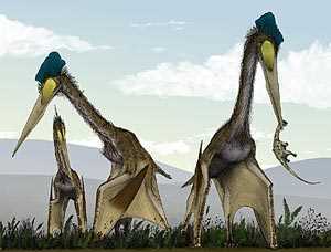 Птерозавры, или летающие ящеры (Pterosauria)