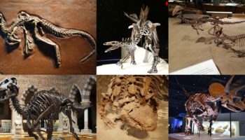 Птицетазовые динозавры, или орнитисхии (Ornithischia)