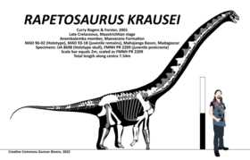 Питание и образ жизни рептозавров