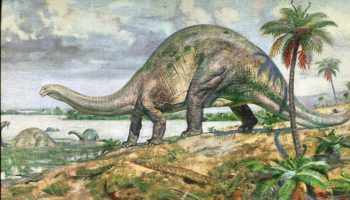 Рапетозавр (Rapetosaurus) — описание, характеристики и образ жизни