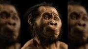 История развития рода Homo: от первобытных предков до современного человека