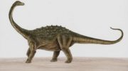Сальтазавр — один из наиболее известных динозавров из группы титанозавров