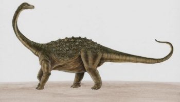 Сальтазавр — один из наиболее известных динозавров из группы титанозавров