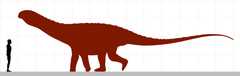 Типы и подвиды сальтазавра: