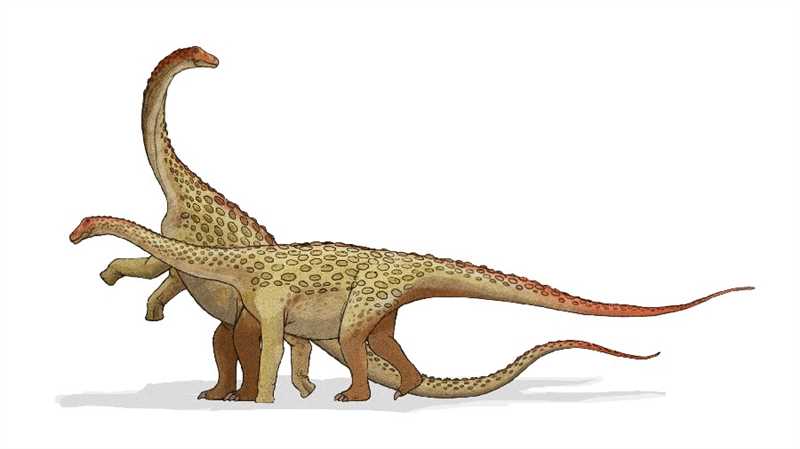 Сальтазавры были известны своими крупными шипами. 