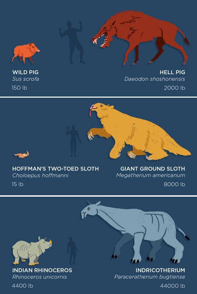 Самые большие вымершие млекопитающие