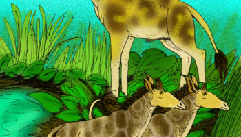 Самотерии (Samotherium) — удивительные обитатели древности