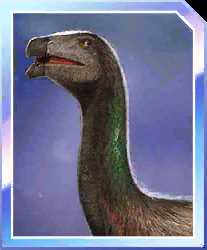 Сегнозавр (Segnosaurus)