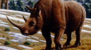 Шерстистый носорог — таинственный обитатель древности