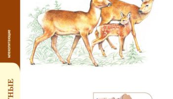 Сибирская косуля (Capreolus pygargus) — особенности, распространение и защита