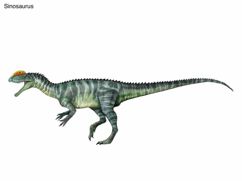 Иллюстрация 2: Географическое распространение синозавров
