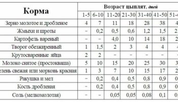 Сколько корма нужно курице-несушке в день: составляем рацион кормления