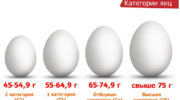 Сколько весит одно яйцо куриное?