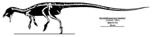 Скутеллоза́вр (Scutellosaurus)