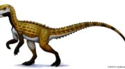 Скутеллозавр (Scutellosaurus) — описание, характеристики и особенности