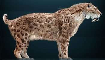 Смилодон (Smilodon) — исполинское хищное животное прошлого