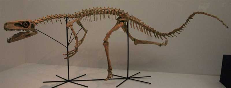 Ставрикозавр (Staurikosaurus)