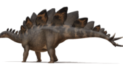 Стегозавр — описание, особенности и история