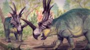 Стиракозавр – удивительное создание динозаврового мира