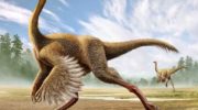 Струтиомим: описание и особенности хищного динозавра предка птиц