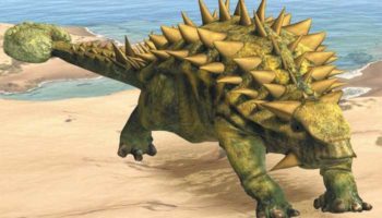 Таларурус, или таларур (Talarurus): описание и факты о динозавре