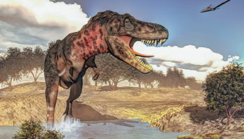 Тарбозавр (Tarbosaurus)