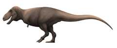 Тарбозавр (Tarbosaurus)