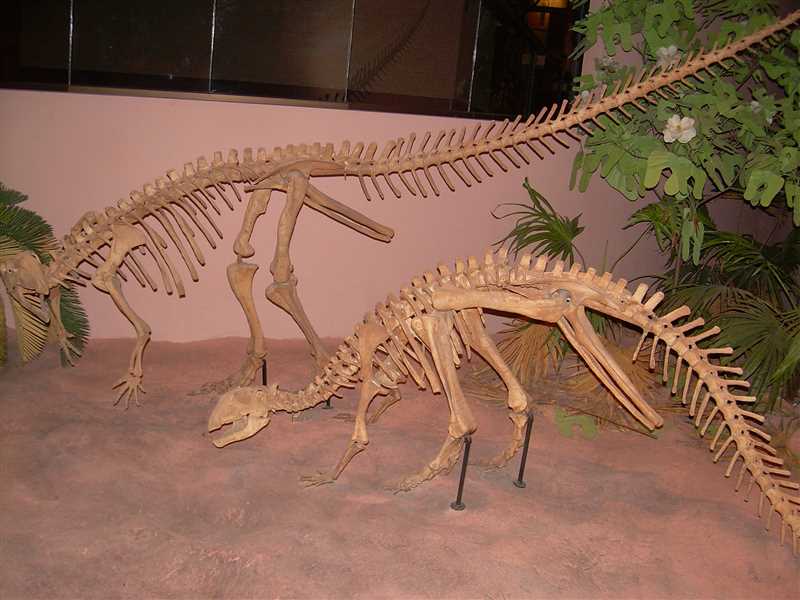 Тесцелозавры (Thescelosaurus)