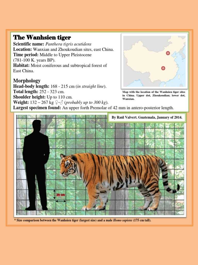 Угрозы и проблемы, стоящие перед тигром