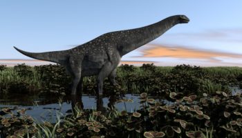 Титанозавр — гигантская и удивительная ящерица мелового периода
