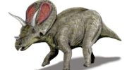Торозавр (Torosaurus) — описание и особенности