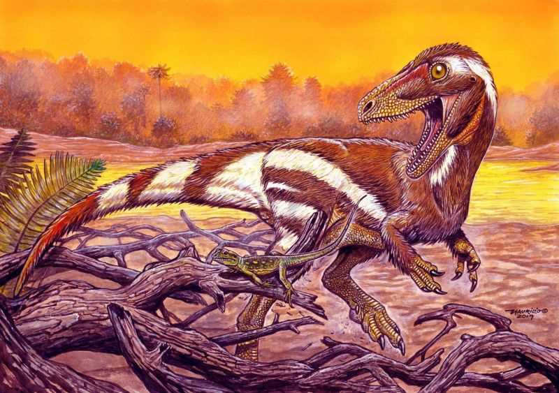 Биологическое и экологическое значение целурозавров в прошлом и настоящем